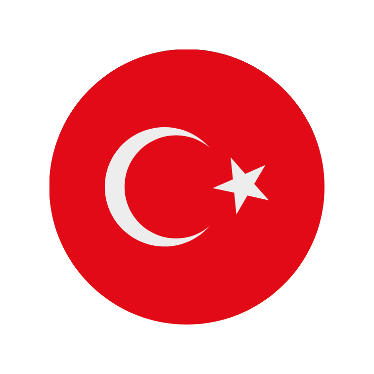 Türkçe